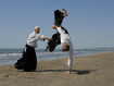 Aikido: - tradição milenar 