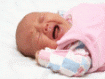 Bebês choram - pais se acalmam