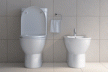 Vaso sanitário - ou bidê: veja diferenças