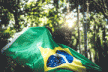 Bandeira do - Brasil: o que significa