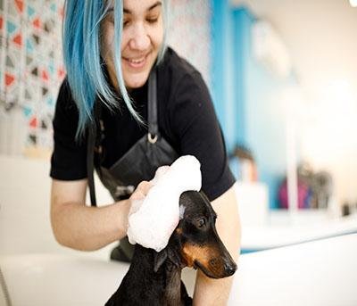 Kit de acessórios pra pets