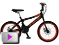 Bicicleta  Aro 20