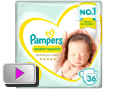 Fralda Pampers Premium Care RN -