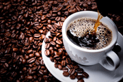 Café: do cultivo até à sua mesa